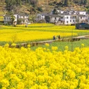 江岭景区 - 上饶市旅游 缩略图 7