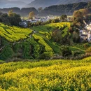 江岭景区 - 上饶市旅游 缩略图 8