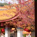 仙岳公园 - 厦门市旅游 缩略图 6