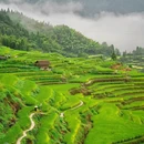 云和梯田景区 - 丽水市旅游 缩略图 8