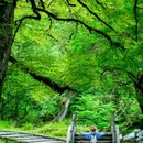 二郎山喇叭河风景区 - 雅安市旅游 缩略图 1