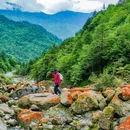二郎山喇叭河风景区 - 雅安市旅游 缩略图 5