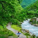 二郎山喇叭河风景区 - 雅安市旅游 缩略图 4