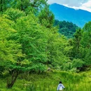 二郎山喇叭河风景区 - 雅安市旅游 缩略图 6