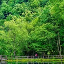 二郎山喇叭河风景区 - 雅安市旅游 缩略图 8