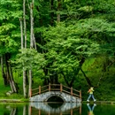 二郎山喇叭河风景区 - 雅安市旅游 缩略图 7