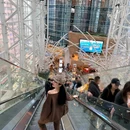 维多利亚港 - 香港特别行政区旅游 缩略图 9