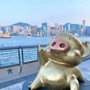 维多利亚港 - 香港特别行政区旅游 缩略图 7