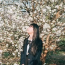 蜀山公园月季园 - 合肥市旅游 缩略图 7