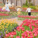 徐州乐园度假区游客中心 - 徐州市旅游 缩略图 1