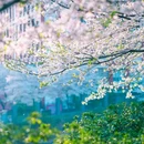 晚安家居文化园 - 长沙市旅游 缩略图 9