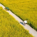 自由村村民委员会 - 重庆市旅游 缩略图 4