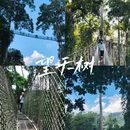 星光夜市 - 西双版纳傣族自治州旅游 缩略图 2