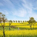 浦业路与鲁建路交叉口 - 上海市旅游 缩略图 3