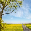 浦业路与鲁建路交叉口 - 上海市旅游 缩略图 4