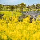 浦业路与鲁建路交叉口 - 上海市旅游 缩略图 5