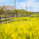 浦业路与鲁建路交叉口 - 上海市旅游 缩略图 7