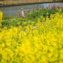 浦业路与鲁建路交叉口 - 上海市旅游 缩略图 9