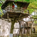 乌镇古镇旅游区 - 嘉兴市旅游 缩略图 8