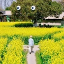 乌镇古镇旅游区 - 嘉兴市旅游 缩略图 7