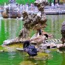 栖霞山风景名胜区 - 南京市旅游 缩略图 5