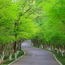 栖霞山风景名胜区 - 南京市旅游 缩略图 2