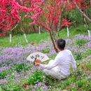 栖霞山风景名胜区 - 南京市旅游 缩略图 7