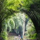 川西竹海景区 - 成都市旅游 缩略图 3