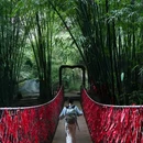 川西竹海景区 - 成都市旅游 缩略图 2
