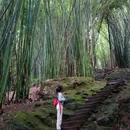 川西竹海景区 - 成都市旅游 缩略图 5