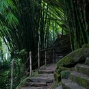 川西竹海景区 - 成都市旅游 缩略图 7