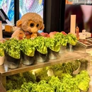 嘻游记·厚切烤肉(七宝领展广场店) - 上海市旅游 缩略图 3