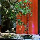 肆月河豚·新淮扬(望京店) - 北京市旅游 缩略图 2