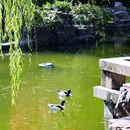 蜀冈瘦西湖风景名胜区 - 扬州市旅游 缩略图 4