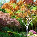 蜀冈瘦西湖风景名胜区 - 扬州市旅游 缩略图 5