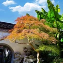 蜀冈瘦西湖风景名胜区 - 扬州市旅游 缩略图 9