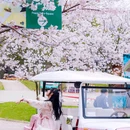 江苏省金坛茅山旅游度假区 - 常州市旅游 缩略图 7