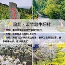 重庆园博园 - 重庆市旅游 缩略图 6