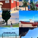 小麦岛公园 - 青岛市旅游 缩略图 3