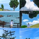 小麦岛公园 - 青岛市旅游 缩略图 1