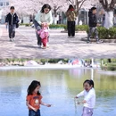 齐鲁软件园 - 济南市旅游 缩略图 6