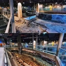 上海元代水闸遗址博物馆 - 上海市旅游 缩略图 5