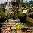 芸山季·云南野生菌火锅(中山富逸城店) - 中山市旅游 缩略图 1
