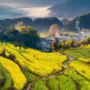 延村 - 上饶旅游 缩略图 2