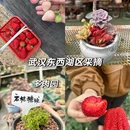 小糖果采摘园 - 武汉市旅游 缩略图 1