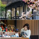 薛福成故居-钦使第·薛家花园 - 无锡市旅游 缩略图 8