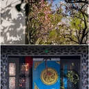 薛福成故居-钦使第·薛家花园 - 无锡市旅游 缩略图 9