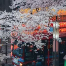 东京 - 日本旅游 缩略图 5