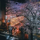东京 - 日本旅游 缩略图 8