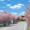 茶园绿道月亮湖 - 雅安市旅游 缩略图 2